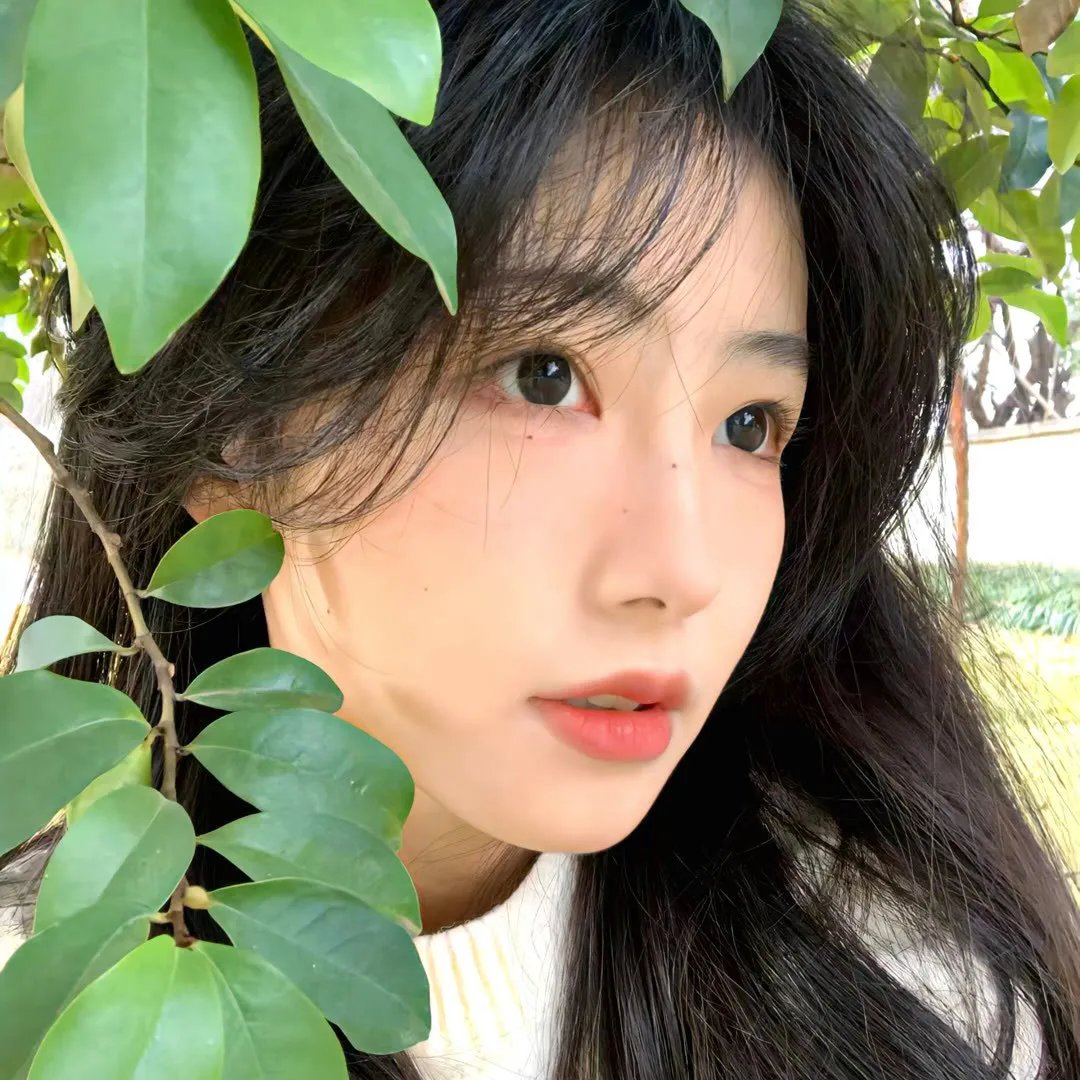 客人是王